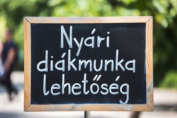 fakeretes tábla, Nyári diákmunka lehetőség felirattal